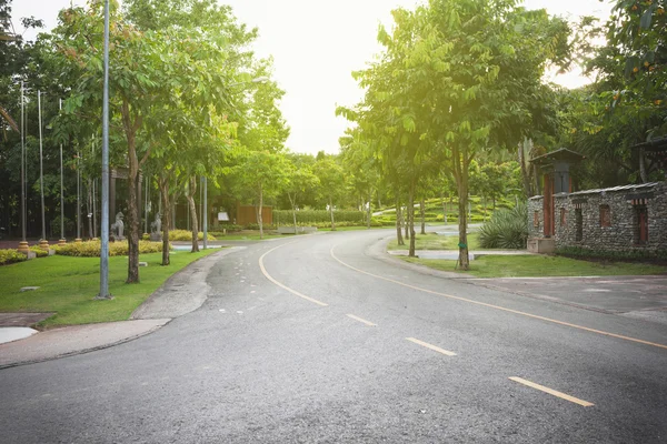 Doğal ağaçları ile boş eğri yol. — Stok fotoğraf