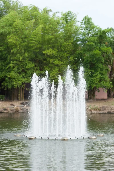 Прекрасний фонтан посеред річки — стокове фото