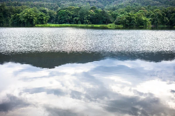 Quellwald spiegelt sich im Fluss wider — Stockfoto