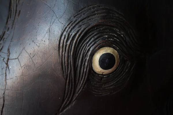 Detail dřevěné oko s černým stínem — Stock fotografie