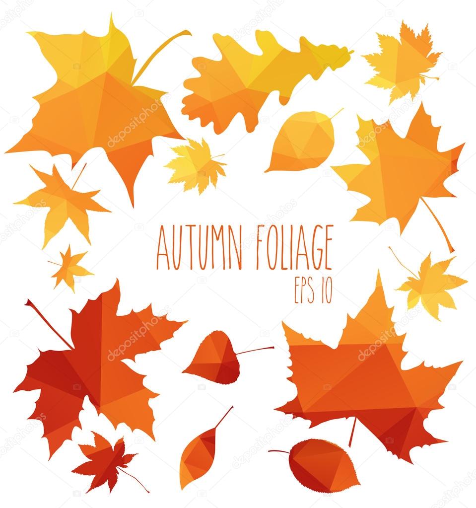 polygon autumn yellow leaves