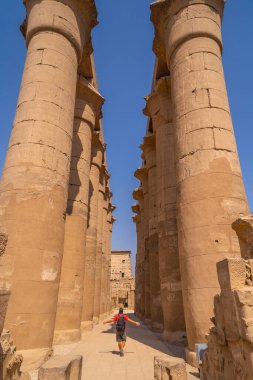 Mısır 'daki Lüksör Tapınağı' nda Mısır çizimleri olan değerli sütunların yanında genç bir turist.