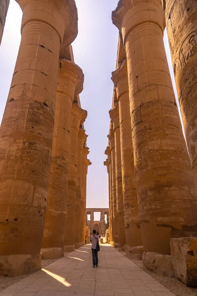 Bel Intérieur Avec Ses Colonnes Dans Des Beaux Temples Egypte — Photo