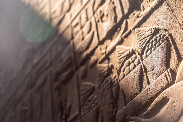 Gyönyörű Természetes Fény Ókori Egyiptomi Rajzok Belsejében Luxor Temple Egyiptom — Stock Fotó