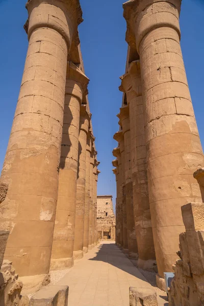 Cenne Kolumny Starożytnymi Rysunkami Egipskimi Świątyni Luxor Egipt — Zdjęcie stockowe