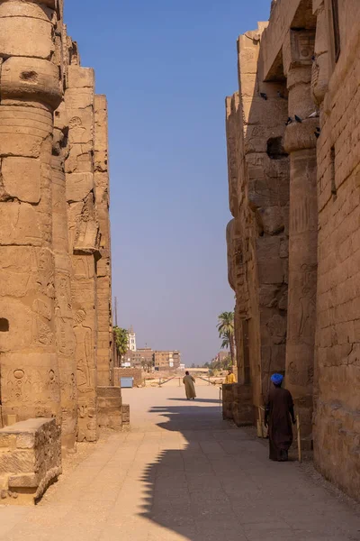 Esculturas Faraós Desenhos Egípcios Antigos Nas Colunas Templo Luxor Egipto — Fotografia de Stock