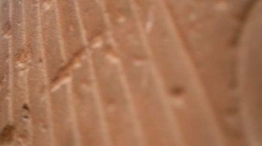 Luxor şehrindeki Luxor Tapınağı 'nda Nil boyunca iki firavun heykeli. Mısır, 4k video