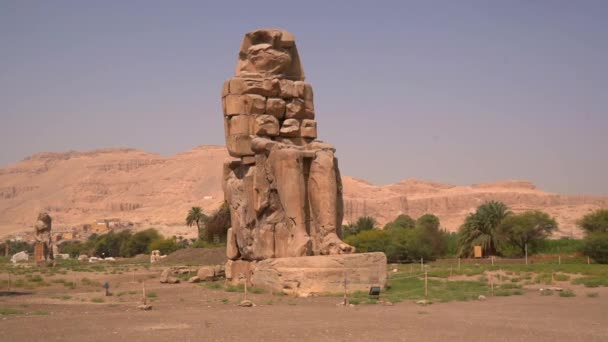 Ősi Fáraók Szobra Luxor Városában Egyiptom Videó Turizmus Visszatér Után — Stock videók
