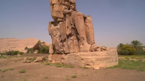 Escultura Los Antiguos Faraones Ciudad Luxor Egipto Video Alta Definición — Vídeos de Stock