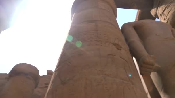 Fáraók Szobrai Luxor Templomban Egyiptomi Oszlopok Rajzai Luxor Városában Nílus — Stock videók