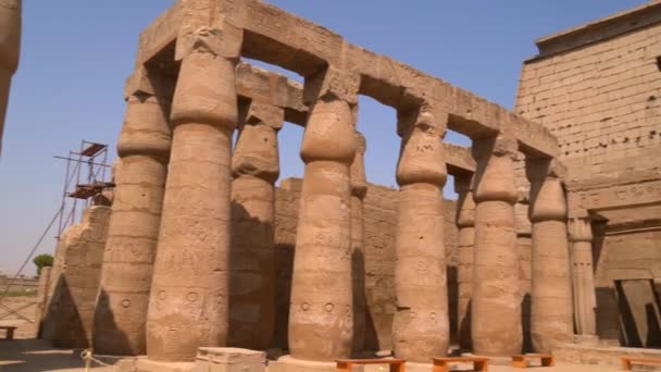 Fáraók Szobrai Luxor Templomban Egyiptomi Oszlopok Rajzai Luxor Városában Nílus — Stock videók