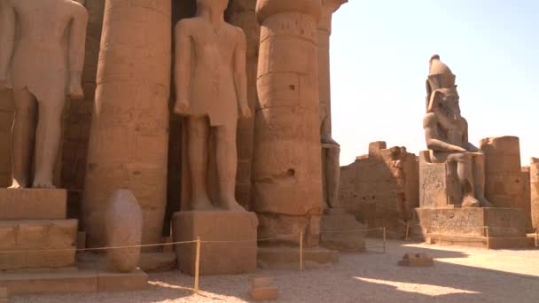 Beelden Van Farao Bij Ingang Van Luxor Tempel Luxor Stad — Stockvideo