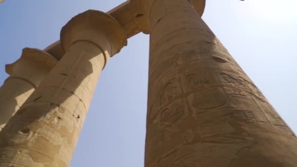 Dibujos Sobre Antiguas Columnas Egipcias Dentro Del Templo Luxor Egipto — Vídeos de Stock