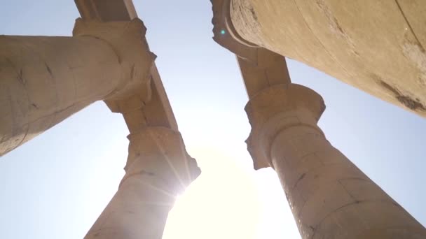 Detail Van Natuurlijk Licht Oude Egyptische Patroon Kolommen Luxor Temple — Stockvideo