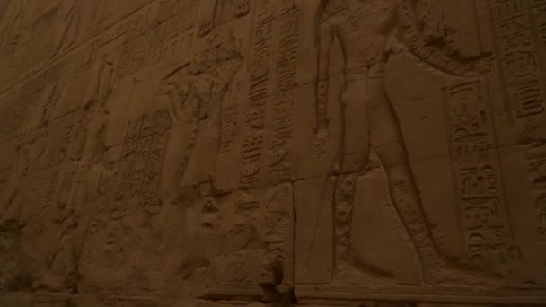 Detalhe Das Belas Paredes Hieroglíficas Templo Edfu Egito Rio Nilo — Vídeo de Stock