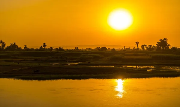 Zachód Słońca Nad Rzeką Palmami Wsiami Brzegu Rzeki Widziany Rejsu — Zdjęcie stockowe