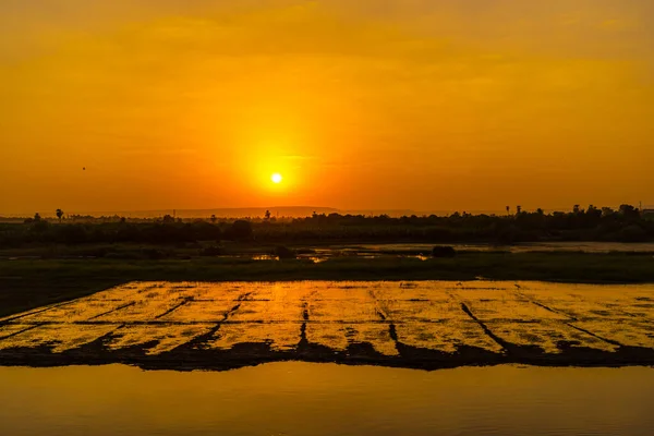 Uprawa Brzegu Zachodzie Słońca Rejsie Nilu Egipt Żeglarstwo Luksoru Asuanu — Zdjęcie stockowe