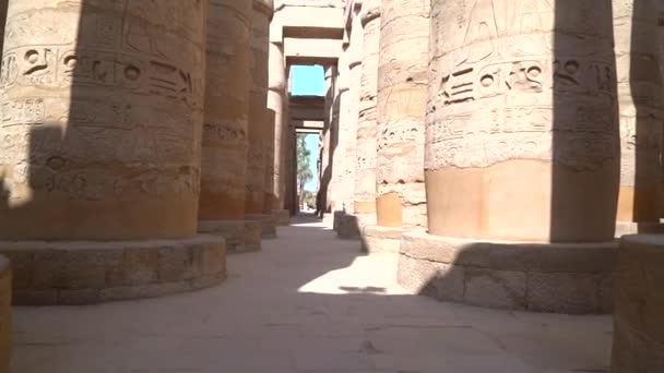 Kolumny Hieroglifami Wewnątrz Świątyni Karnaku Wielkiego Sanktuarium Amona Stany Zjednoczone — Wideo stockowe
