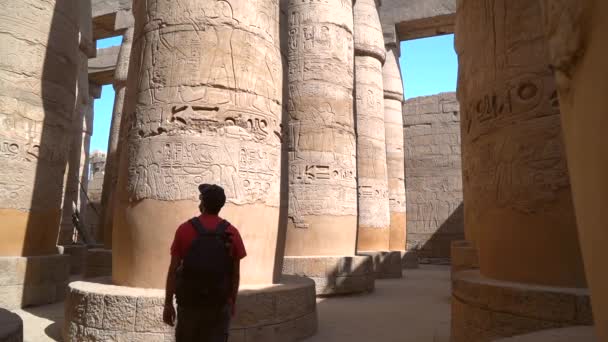 Jovem Caminhando Templo Karnak Suas Preciosas Colunas Com Hieróglifos Grande — Vídeo de Stock