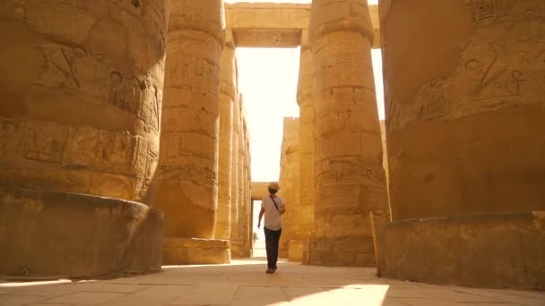 カルナック寺院とその美しい象形文字列 アムンの偉大な聖域を歩く若い女性 エジプト — ストック動画