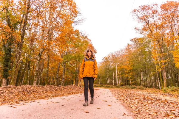 Styl Życia Młoda Brunetka Żółtej Kurtce Spacerująca Jesienią Lesie Las — Zdjęcie stockowe