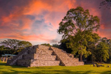 Bir Maya piramidi Copan Ruinas tapınağındaki bir ağacın yanında güzel turuncu bir gündoğumunda. Honduras