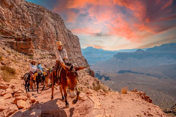 Grand Canyon Arizona Abd Ağustos 2019 Güney Kaibab Trailhead Güney — Stok fotoğraf