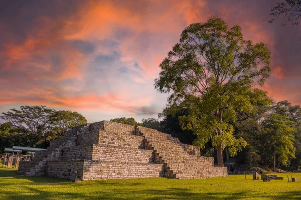 Mayan Pyramid Next Tree Copan Ruinas Temples Beautiful Orange Sunrise Stock Image