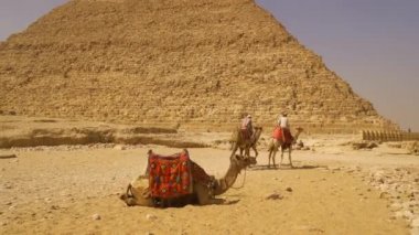 Kahire, Mısır; Ekim 2020: Ginza piramitlerinde Kefren piramidinin yanındaki develerle yerel işçilerin görüntüsü