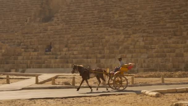 Cairo Egypt October 2020 Horse Drawn Carriage Workers Working Ginza — Stock Video