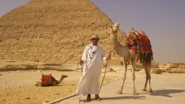 エジプト カイロ2020年10月 銀座のピラミッドにあるケレンのピラミッドの隣にラクダを連れた地元の男のパンニング ショット — ストック動画
