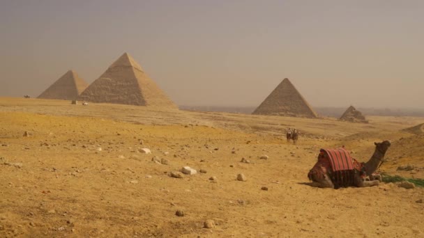 Caire Égypte Octobre 2020 Plan Panoramique Deux Hommes Locaux Chevauchant — Video