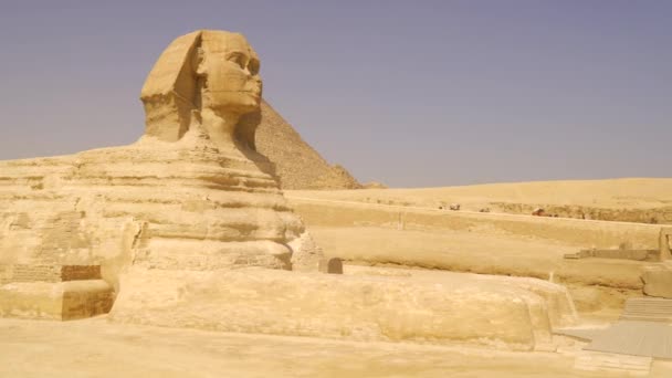 Panning Shot Van Prachtige Grote Sfinx Van Gizeh Naast Piramides — Stockvideo