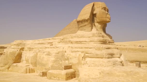 在银座金字塔旁边的美丽的吉萨大狮身人面像的潘宁镜头 埃及开罗 — 图库视频影像