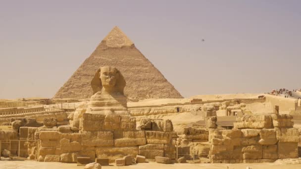 青いドレスを着た若い男が銀座のピラミッドの隣にある銀座の大スフィンクスを歩いている エジプトのカイロ — ストック動画