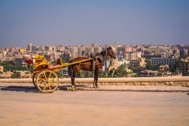 Giza Piramitleri 'ndeki atlı işçiler dünyanın en eski cenaze anıtı. Mısır 'ın Kahire şehrinde