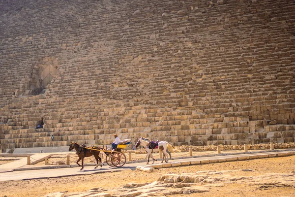 チョップスのピラミッドで最大のピラミッドで若い観光客 ギザのピラミッドは世界で最も古いお葬式記念碑です エジプトのカイロでは — ストック写真