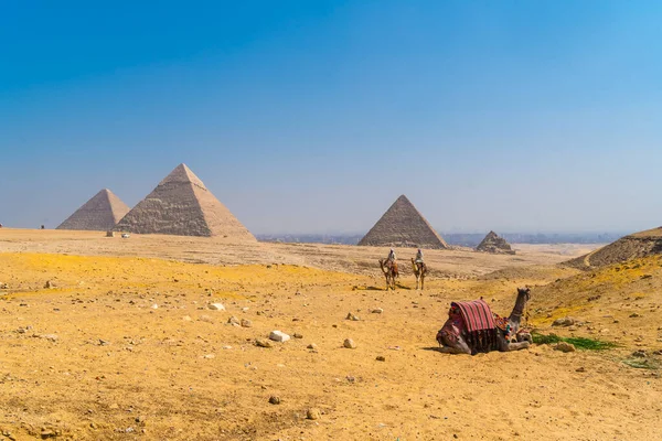エジプト カイロ2020年10月 世界最古のお葬式記念碑であるギザのピラミッドを背景にラクダと男が座る — ストック写真