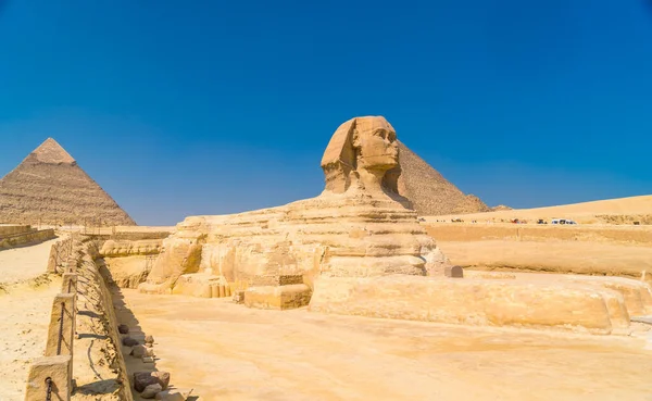Μεγάλη Σφίγγα Της Γκίζας Και Στο Βάθος Πυραμίδες Της Γκίζας — Φωτογραφία Αρχείου