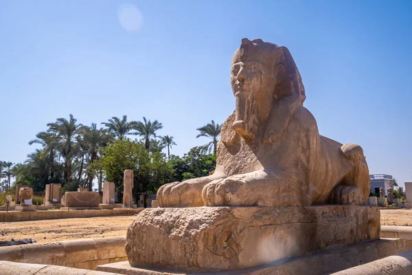 Détail Précieux Sphinx Memphis Caire Égypte Ancienne Ville Dans Laquelle — Photo