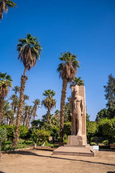 Detalle Escultura Entre Las Palmeras Del Faraón Ramsés Memphis Cairo — Foto de Stock