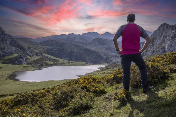 Ein Junger Mann Blickt Auf Den Wunderschönen Covadonga See Asturien — Stockfoto