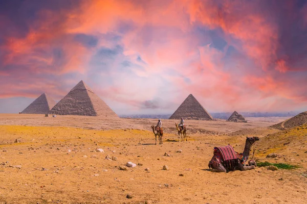 エジプト カイロ2020年10月 世界最古のお葬式記念碑であるギザのピラミッドを背景にラクダと男が座る — ストック写真
