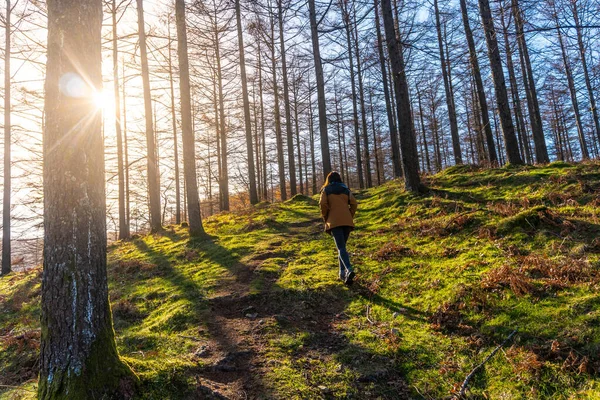 Jovem Caminhante Caminhando Floresta Oianleku Cidade Oiartzun Gipuzkoa País Basco — Fotografia de Stock