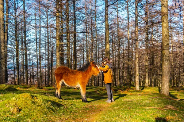 Een Jonge Wandelaar Streelt Wilde Paarden Het Oianleku Bos Stad — Stockfoto