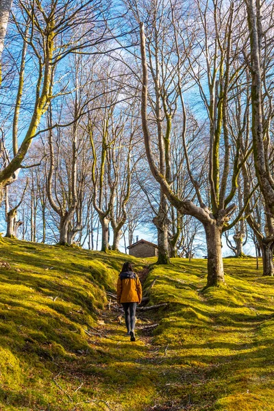 Menina Trilha Trekking Floresta Faia Oianleku Cidade Oiartzun Gipuzkoa País — Fotografia de Stock