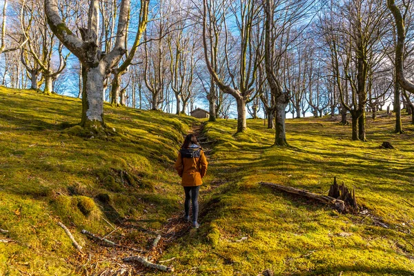 Young Woman Trekking Trail Oianleku Beech Forest Town Oiartzun Gipuzkoa — Stock Photo, Image