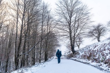 Gipuzkoa 'da Aizkorri Dağı' na tırmanmak için yolda yürüyen genç bir adam. Kış karları altında karlı bir manzara. Bask Ülkesi, İspanya