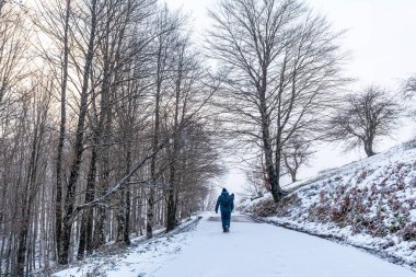 Gipuzkoa 'da Aizkorri Dağı' na tırmanmak için yolda yürüyen genç bir adam. Kış karları altında karlı bir manzara. Bask Ülkesi, İspanya