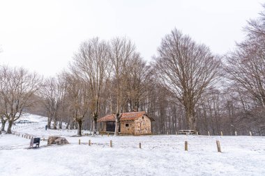 Gipuzkoa 'daki Aizkorri Dağı' na çıkan ağaçların arasında bir sığınak. Kış karları altında karlı bir manzara. Bask Ülkesi, İspanya